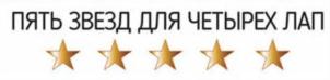 Товарный знак №729799, принадлежит организации Общество с ограниченной ответственностью «ЭВЕНТУС ПЛЮС", ОГРН 1147847141056, ИНН 7806524443