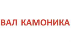 Товарный знак №730317, принадлежит организации Общество с ограниченной ответственностью «Камоника», ОГРН 1047823008595, ИНН 7814155221