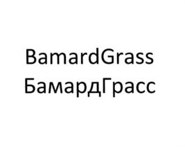 Товарный знак №730753, принадлежит организации Общество с ограниченной ответственностью "Покрытия Люкс" БАМАРД ТМ, ОГРН 1107746969615, ИНН 7721709519