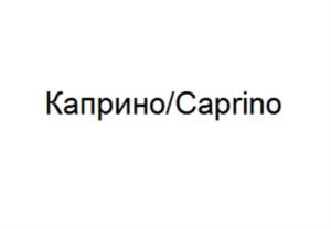 Товарный знак №731151, принадлежит организации Общество с ограниченной ответственностью «Каприно», ОГРН 1181690086588, ИНН 1655408995