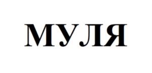 Товарный знак №734022, принадлежит ИП Шаповалов Михаил Викторович, ОГРНИП 311774625700222, ИНН 771470551266