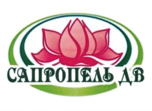 Товарный знак №734202, принадлежит ИП Дмитриев Евгений Кузьмич, ОГРНИП 317272400029943, ИНН 272405285206