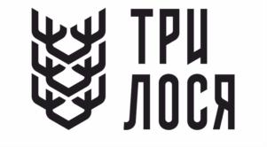 Товарный знак №734291, принадлежит ИП Шориков Виктор Владимирович, ОГРНИП 304540335700023, ИНН 540324394636