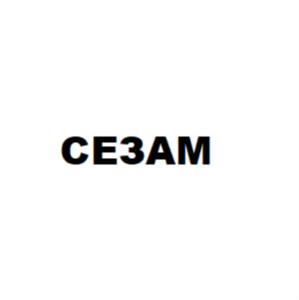 Товарный знак №739427, принадлежит организации Общество с ограниченной ответственностью «НефтеПром Сервис», ОГРН 1095944000316, ИНН 5944206233