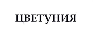 Товарный знак №739855, принадлежит ИП Блинов Николай Михайлович, ОГРНИП 316167700052750, ИНН 163200893580