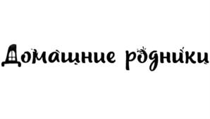Товарный знак №739882, принадлежит организации Общество с ограниченной ответственностью «И-Тех», ОГРН 1141831005678, ИНН 1831169833