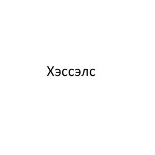 Товарный знак №742433, принадлежит организации Общество с ограниченной ответственностью  "ХЕССЕЛС РУС", ОГРН 1167746165685, ИНН 7707360956