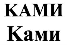 Товарный знак №743311, принадлежит организации Акционерное общество "Фирма Научно-технический центр КАМИ", ОГРН 1027739767241, ИНН 7733091756