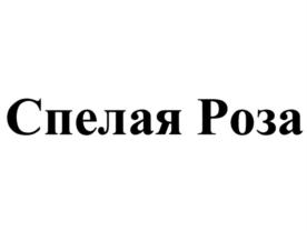 Товарный знак №744509, принадлежит ИП Кислицын Александр Сергеевич, ОГРНИП 315774600104982, ИНН 770400220540