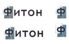 Товарный знак №745738, принадлежит организации Общество с ограниченной ответственностью "ФИТОН", ОГРН 5167746152866, ИНН 7743176166