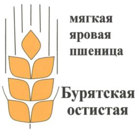 Товарный знак №746340, принадлежит организации Федеральное государственное бюджетное научное учреждение "Бурятский научно-исследовательский институт сельского хозяйства", ОГРН 1020300975958, ИНН 323045827