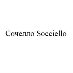 Товарный знак №746484, принадлежит организации Общество с ограниченной ответственностью «Стройдвор», ОГРН 1171690066998, ИНН 1659182957