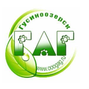 Товарный знак №751363, принадлежит организации Общество с ограниченной ответственностью "ГАГ", ОГРН 1110327014808, ИНН 318033706
