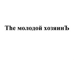 Товарный знак №751675, принадлежит ИП Никашин Владимир Анатольевич, ОГРНИП 315595800079300, ИНН 234804879369