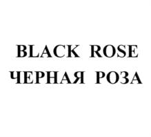 Товарный знак №752472, принадлежит организации Общество с ограниченной ответственностью "Промедиа", ОГРН 1197746488642, ИНН 9709052502