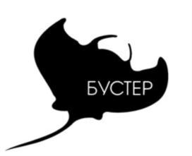 Товарный знак №754346, принадлежит организации Общество с ограниченной ответственностью «АК Бустер», ОГРН 1079847111761, ИНН 7813398422