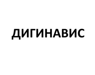 Товарный знак №756596, принадлежит организации Общество с ограниченной ответственностью «Дигинавис», ОГРН 1181690046900, ИНН 1615014112