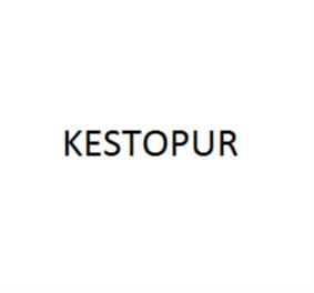 Товарный знак №757474, принадлежит организации Акционерное общество "КЕСТО", ОГРН 1027807976415, ИНН 7805059553