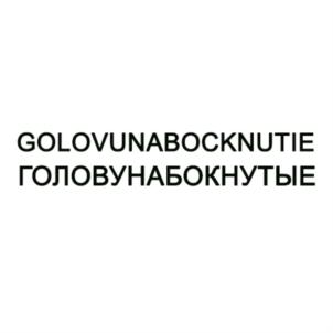 Товарный знак №759100, принадлежит организации Общество с ограниченной ответственностью "ХОЛДИНВЕСТ", ОГРН 1106952013167, ИНН 6952025056