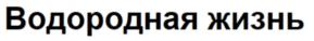Товарный знак №759784, принадлежит ИП Глазунов Олег Романович, ОГРНИП 317774600070905, ИНН 781138183711