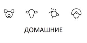 Товарный знак №761461, принадлежит ИП Павлов Александр Сергеевич, ОГРНИП 304026913900159, ИНН 26908452380