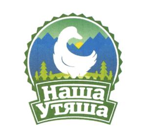 Товарный знак №763328, принадлежит организации Общество с ограниченной ответственностью "Меркурий", ОГРН 1142651024944, ИНН 2628803211