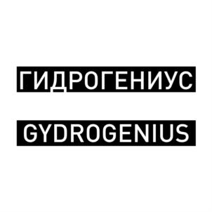Товарный знак №764456, принадлежит организации Общество с ограниченной ответственностью «ГИДРОГЕНИУС», ОГРН 1145047010074, ИНН 5047159733