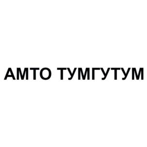 Товарный знак №765268, принадлежит организации ОБЩЕСТВО С ОГРАНИЧЕННОЙ ОТВЕТСТВЕННОСТЬЮ «АМТО», ОГРН 1124177000243, ИНН 4105040657