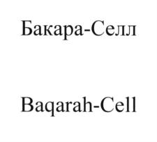 Товарный знак №766450, принадлежит организации Общество с ограниченной ответственностью "НОВИСТЕМ", ОГРН 5167746476277, ИНН 7725345982