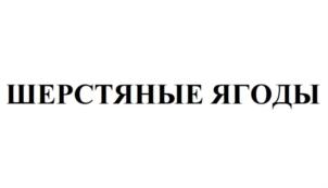 Товарный знак №771677, принадлежит ИП Иванов Максим Владимирович, ОГРНИП 319774600532140, ИНН 381005834307