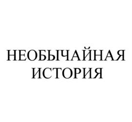 Товарный знак №771939, принадлежит ИП Пулькин Игорь Валерьевич, ОГРНИП 304690119400141, ИНН 690300011014