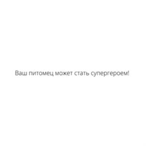 Товарный знак №777334, принадлежит организации Общество с ограниченной ответственностью «Многопрофильный ветеринарный центр «Пёс и Кот», ОГРН 1197847071047, ИНН 7806558481