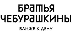 Товарный знак №777462, принадлежит организации Общество с ограниченной ответственностью "Братья Чебурашкины", ОГРН 1065007004787, ИНН 5007052198