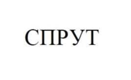 Товарный знак №779037, принадлежит ИП Чижиков Роман Владимирович, ОГРНИП 310547626300080, ИНН 540320507582