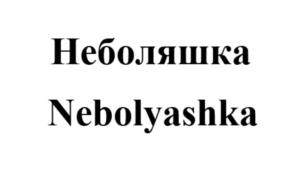 Товарный знак №780793, принадлежит организации Общество с ограниченной ответственностью «АВАНИС», ОГРН 1197746419991, ИНН 9731047850