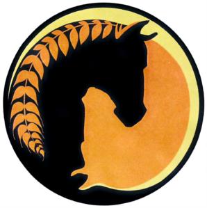 Товарный знак №781342, принадлежит ИП Паленный Михаил Васильевич, ОГРНИП 312272227900036, ИНН 272497658920