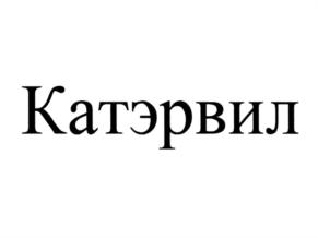 Товарный знак №785627, принадлежит организации Общество с ограниченной ответственностью "КАТЭРВИЛ", ОГРН 1177746191347, ИНН 7731349865