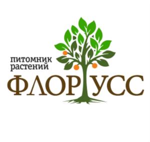 Товарный знак №786444, принадлежит ИП Ким Сергей Юрьевич, ОГРНИП 319253600041665, ИНН 251116201788