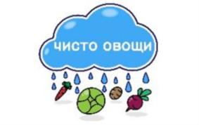 Товарный знак №787674, принадлежит организации Общество с ограниченной ответственностью «РУССКИЕ СОЛЕНИЯ», ОГРН 1174704002000, ИНН 4716042986