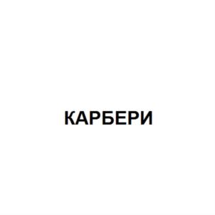 Товарный знак №788840, принадлежит организации Общество с ограниченной ответственностью "КАРБЕРИ", ОГРН 1137746053554, ИНН 7708780745