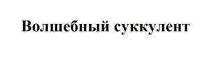 Товарный знак №788932, принадлежит ИП Баскова Елена Витальевна, ОГРНИП 317745600014138, ИНН 744918850194