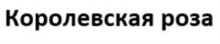 Товарный знак №789556, принадлежит организации ОБЩЕСТВО С ОГРАНИЧЕННОЙ ОТВЕТСТВЕННОСТЬЮ "СТАФИЛ", ОГРН 1062304008040, ИНН 2304046258