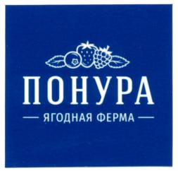 Товарный знак №791757, принадлежит ИП Попенко Михаил Владиславович, ОГРНИП 317237500251742, ИНН 233000503212