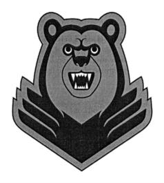 Товарный знак №793010, принадлежит организации Общество с ограниченной ответственностью "Центр Неруд", ОГРН 1145914000022, ИНН 5914028093