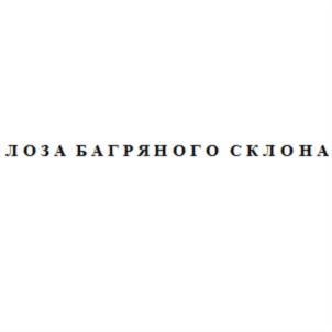 Товарный знак №793644, принадлежит организации Общество с ограниченной ответственностью «СПК», ОГРН 1132651020457, ИНН 2636807058
