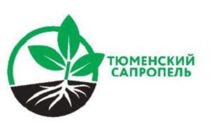 Товарный знак №795231, принадлежит организации Общество с ограниченной ответственностью "ГЕОСПЕЦСТРОЙ", ОГРН 1057200701150, ИНН 7202100730
