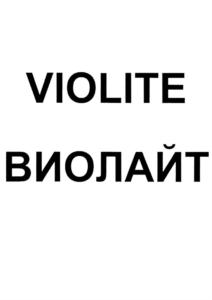 Товарный знак №796626, принадлежит организации Общество с ограниченной ответственностью "БИГ-СТРОЙ", ОГРН 1197847220449, ИНН 7811739500