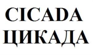 Товарный знак №796986, принадлежит ИП Большунова Лилиана Дмитриевна, ОГРНИП 314774636703985, ИНН 772776067512