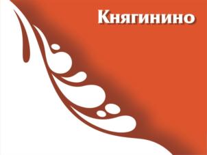 Товарный знак №803137, принадлежит организации Акционерное общество "Княгининское молоко", ОГРН 1025200935462, ИНН 5217000301