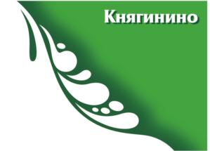 Товарный знак №803138, принадлежит организации Акционерное общество "Княгининское молоко", ОГРН 1025200935462, ИНН 5217000301